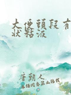 大便头段有鼻涕状粘液