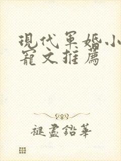 现代军婚小说甜宠文推荐