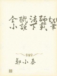 全职法师txt小说下载笔趣阁