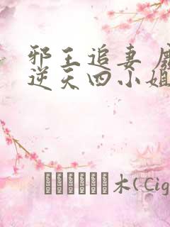 邪王追妻 废材逆天四小姐