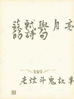 苏轼与月亮有关的诗句