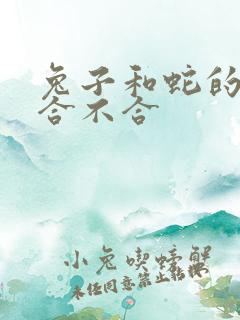 兔子和蛇的属相合不合