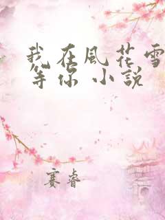 我在风花雪月里等你 小说