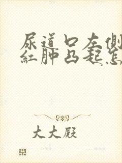 尿道口左侧有点红肿凸起怎么回事