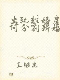 出轨离婚房子如何分割新婚姻法2023