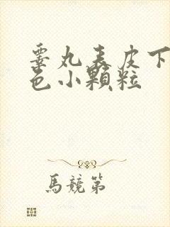 睾丸表皮下有白色小颗粒