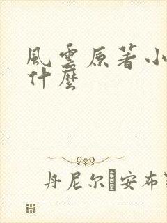 风云原著小说叫什么