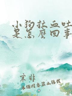 小狗拉血吐白沫是怎么回事