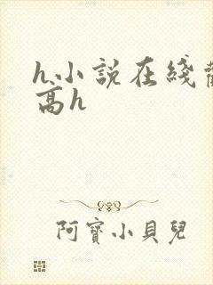 h小说在线观看高h