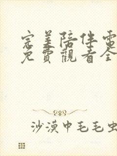 完美陪伴电视剧免费观看全集高清