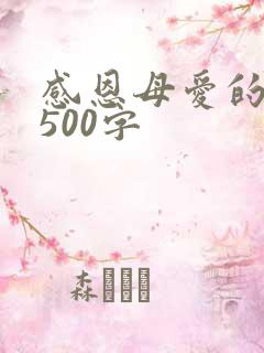 感恩母爱的作文500字