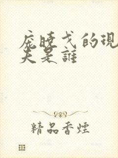 庞晓戈的现任丈夫是谁