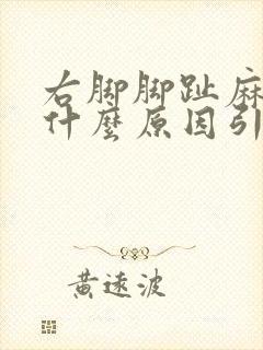 右脚脚趾麻木是什么原因引起的