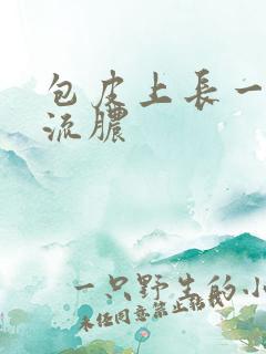 包皮上长一个小流脓