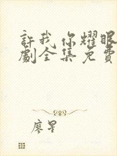 许我你耀眼电视剧全集免费观看