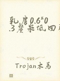 乳房0.6*0.3厘米低回声结节