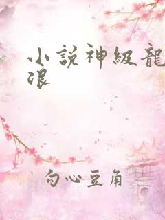 小说神级龙卫沈浪