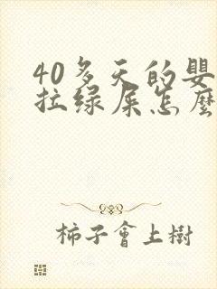 40多天的婴儿拉绿屎怎么回事