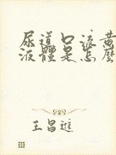 尿道口流黄色的液体是怎么回事