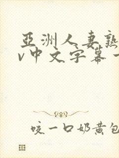 亚洲人妻熟女av中文字幕一区三区