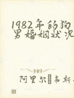 1982年的狗男婚姻状况及命运