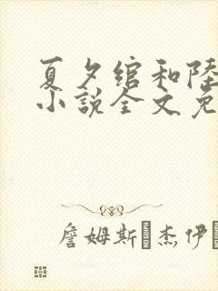 夏夕绾和陆寒霆小说全文免费阅读