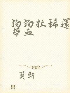 狗狗拉稀还有点带血