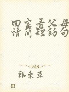 回家看父母的心情简短的句子