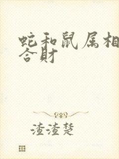 蛇和鼠属相合不合财