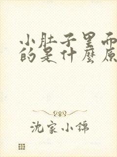 小肚子里面硬硬的是什么原因女性