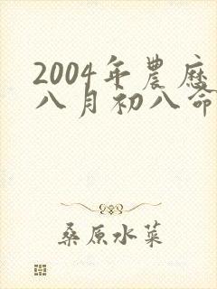 2004年农历八月初八命运如何