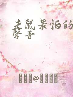 老鼠最怕的猫叫声音