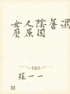 女人阴唇湿是什么原因