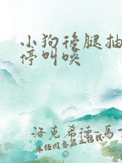 小狗后腿抽搐不停叫唤