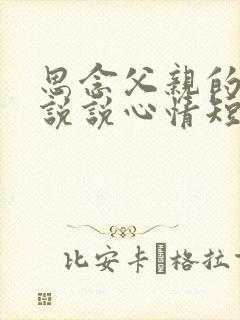 思念父亲的句子说说心情短语