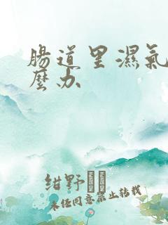 肠道里湿气重怎么办