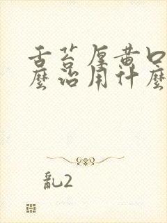 舌苔厚黄口臭怎么治用什么药