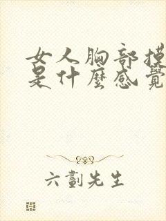 女人胸部摸起来是什么感觉