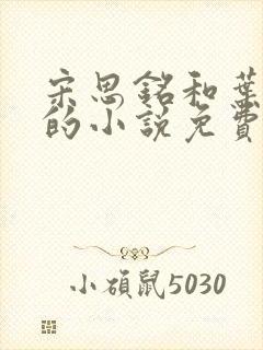 宋思铭和叶如云的小说免费阅读全文