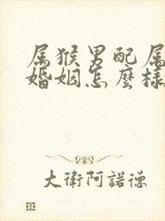 属猴男配属鼠女婚姻怎么样