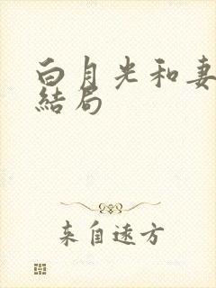 白月光和妻子大结局