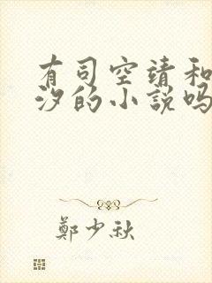 有司空靖和苏月汐的小说吗