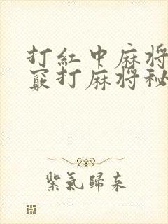 打红中麻将的诀窍打麻将秘诀