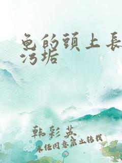 龟的头上长白色污垢