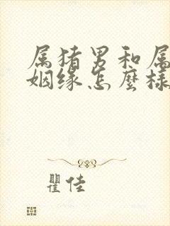 属猪男和属牛女姻缘怎么样