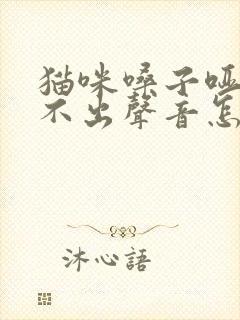 猫咪嗓子哑了叫不出声音怎么办