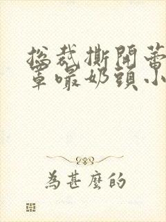 总裁撕开蕾丝奶罩嘬奶头小说