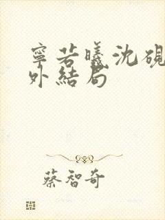 宁若曦沈砚舟番外结局