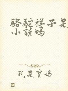 骆驼祥子是讽刺小说吗