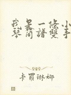 我是一条小河钢琴简谱双手完整版